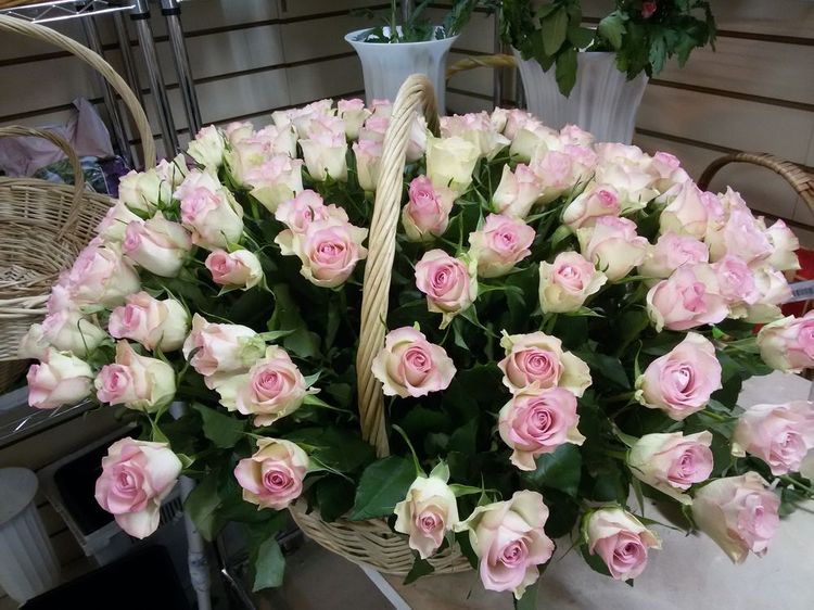 51 роза в корзине ,Кения, 40см
